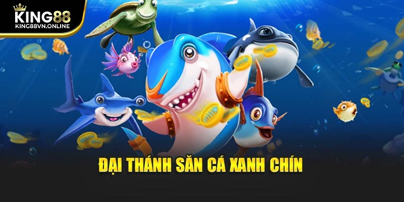 Đại thánh săn cá xanh chín